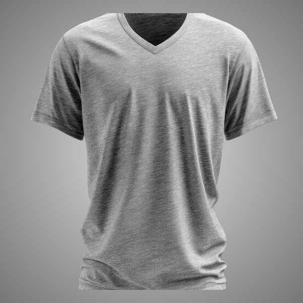 V-Neck T-Shirt